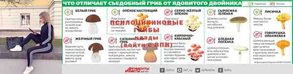 MDMA Premium VHQ Бронницы